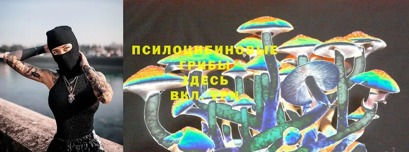 купить  цена  нарко площадка какой сайт  Галлюциногенные грибы Psilocybine cubensis  Бутурлиновка 